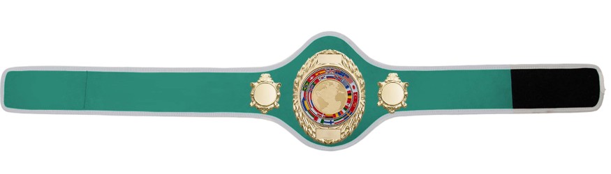 CHAMPIONSHIP BELT PRO286/G/WLDFLAGG - AVAILABLE IN 10+ COLOURS